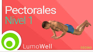 Para llevar a cabo una flexión con palmada se necesita fuerza y velocidad, algo que nos será de gran ayuda para ejercitar el. Ejercicios Para Pectorales En Casa Nivel 1 Rutina Sin Pesas Youtube