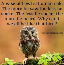 Bird That Sounds Like An Owl In The Morning Owls Quote Images Owl Wisdom Owl Quotes Owl