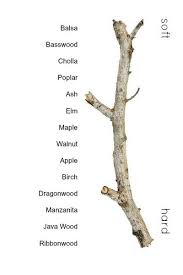 Wood cabinets add natural warmth to kitchens of every size and style. Bird Safe Wood Choosing Wood For Perches And Bird Toys Birdsupplies Com