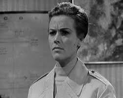 The Avengers : Series 2 : Intercrime