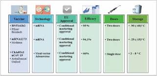 About 65% of vaccine recipients in pfizer's and moderna's trials, and 38% in johnson & johnson's, developed fatigue. Safety Of Covid 19 Vaccines Administered In The Eu Should We Be Concerned Sciencedirect