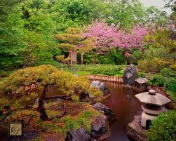 Japanese Garden At The Minnesota Landscape Arboretum Pond With Pine Island And Stone Lantern And What A P Minnesota Landscaping Japanese Garden Redbud Tree