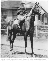 Peter Pan 1929 1941 Was A Chestnut Australian Thoroughbred Racehorse And Stallion Peter Thoroughbred Horse Racing Thoroughbred Horse Thoroughbred Racehorse