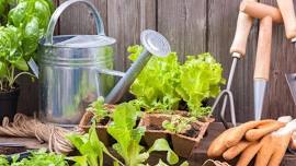 Step Into Gardening Series: Garden Check-In