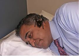 Eeeegad! There is a spider