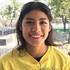 Contest Results: Serial FEMEPAR 1