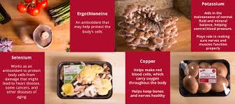 Overview of health benefits of medicinal mushrooms. Nutrition And Health Benefits Of Mushrooms To Jo Mushrooms