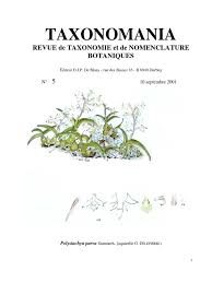 Image result for Eggelingia ligulifolia