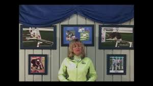Brain games for dogs:fun ways to build a strong bond with your dog and provide it with vital mental stimulation by claire arrowsmith. Crate Games For Self Control And Motivation Dvd Dogwise