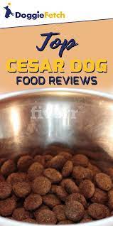 5 Top Cesar Dog Food Reviews Updated 2021 Doggiefetch Dog Food Recipes Dog Food Reviews Easy Dog Treat Recipes
