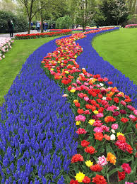 Keukenhof Garden Holland Garden Golf Courses Holland