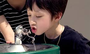 Tag Archive for "lead poisoning"