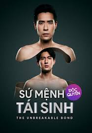 Sứ Mệnh Tái Sinh - 22 Tập | VieON