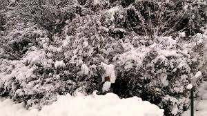 Ele mostra uma estradinha quando voltavamos da suiça para a italia. Tempestade De Neve Na Suica Youtube