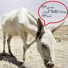 Image result for ‫تصاویر خنده دار‬‎
