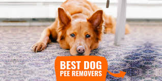 We did not find results for: 7 Best Dog Pee Removers Urine Odor Stains Top Features Reviews