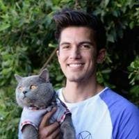 🔥 "Aaron's Animals" skits MBTI Personality Types