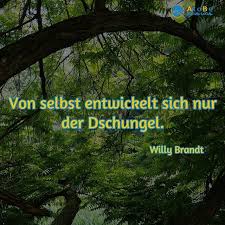 Atobe Social Local On Instagram Dschungel Oder Nicht Instagram Lockscreen Screenshot Locals