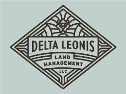 Delta Leonis Art Deco Logo Vintage Graphic Design Logo Design