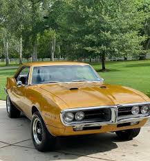 Image result for Coronado Gold 1967 Firebird
