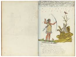 College jean jacques rousseau ⭐ , france, argenteuil, rue jean jacques rousseau, 13: Folios 89v 90r Histoire Naturelle Des Indes The Morgan Library Museum