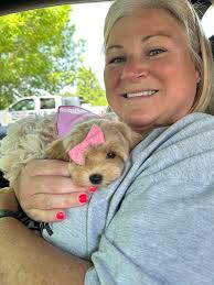 Hi! I'm new to this group. I recently joined because I love these dogs!