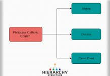 Roman Catholic Church Hierarchy Hierarchy Structure