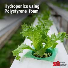 18 Hydroponics Using Polystyrene Ideas Hydroponics Polystyrene Aquaponics