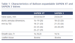 Balloon Or Self Expandable Tavi