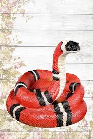 Gartenfigur Schlange Konigsnatter Gartenfiguren Figur Garten