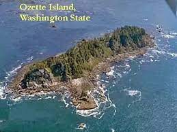 You are alone on an uninhabited island. If You Are All Alone On An Island And Escape Is Not An Option What You Would Do Quora
