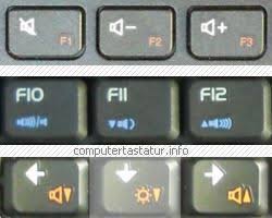 Check spelling or type a new query. Die Notebook Fn Taste Computertastatur Info