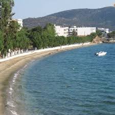 We did not find results for: Marmari Eyboia Home Facebook