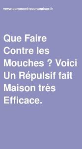 Que Faire Contre Les Mouches Voici Un Repulsif Fait Maison Tres Efficace En 2020 Contre Les Mouches Remede Contre Les Mouches Produit De Nettoyage Faits Maison