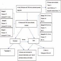 prenatal diagnosis and pregnancy outcome analysis of thicken