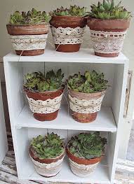 Upcycling Ideen Mit Blumentopfen Gartenhaus Gmbh Succulents Indoor Succulents Succulents In Containers