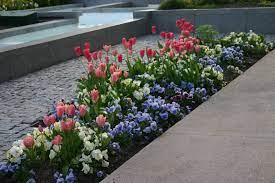 Maybe you would like to learn more about one of these? Pin By Julie Nielson On Flower Bed Palette Perennial Garden Design Flower Garden Design Flower Garden Plans