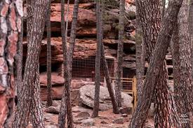 Take a look at our albarracin day trip planner to schedule your visit to pinares del rodeno and learn about what else to see and do during your holiday. Pinares De Rodeno En Albarracin 2021 Albarracinlove Com