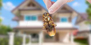 Residential & commercial service in the northwest. Cockroach Extermination Big River Pest Control 800 533 0226