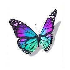 3d Colorful Butterfly Tattoo Design Colorful Butterfly Tattoo 3d Butterfly Tattoo Butterfly Tattoo Designs