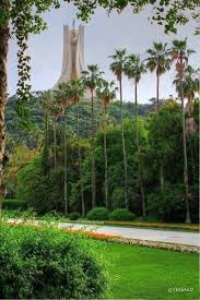 Jardin D Essai Alger In 2020 Africa Travel Scenery Places To Visit