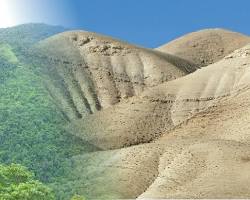 Image of تأثير الغطاء النباتي على درجة حرارة الهواء