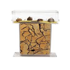 La fourmilière a pour but de protéger la ou les reines et le couvain. Fourmiliere T En Sable Avec Les Fourmis Et Reine Gratuites Formicarium Cdiscount Animalerie