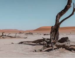 The bicycling empowerment network namibia (benn) is mourning the death of a canadian bicycle sponsor who has made an immense difference in the lives of namibians. Best Time To Visit Namibia In 2021 Tourradar