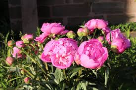 Du suchst kostenlose fotos für deinen onlineshop, blog oder eine landing page. Pfingsten Die Macht Der Liebe Furth