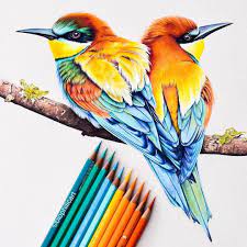 The cuban artist creates drawings on paper dreamlike and poetic, mixing pencil drawing, watercolor and india ink. Realistic Animal Pencil Drawings Pencil Drawings Of Animals Colored Pencil Artwork Colorful Art