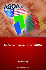 Le Cameroun Exclu De L Agoa Comprendre Les Causes Et Consequences Economiques En 2020 Cameroun Economie Apprendre