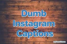 98 Best Dumb Captions For Instagram Selfies Picture Stupid Captions Click