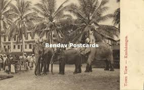 118 фраз в 36 тематиках. Straits Settlements Malay Malaysia Perak Kuala Kangsar Elephants 1910s Hippostcard