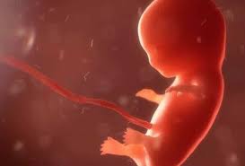 Colombia. Mujer aborta un feto de 7 meses. | Agencia SIC